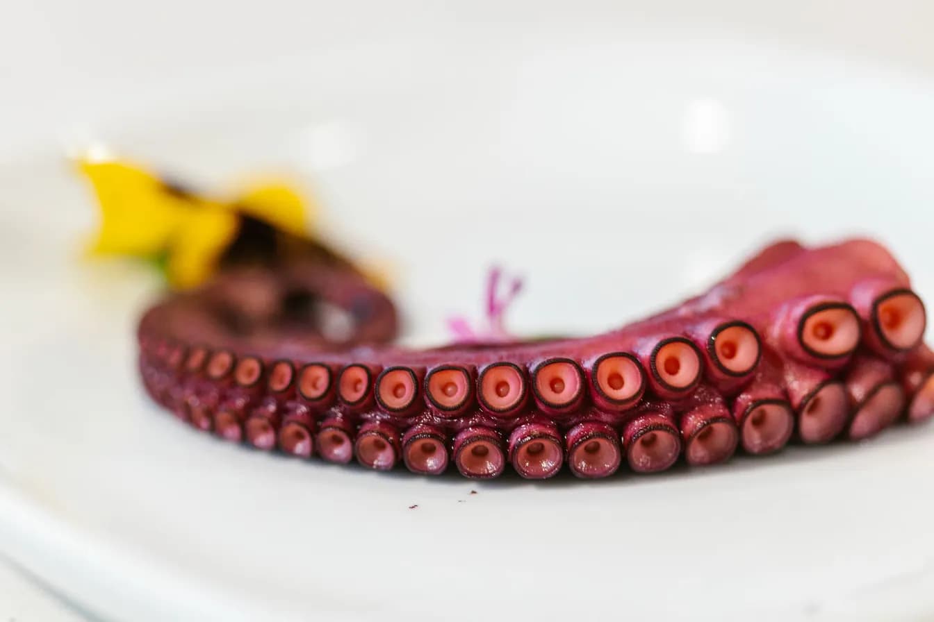 Octopus Sushi