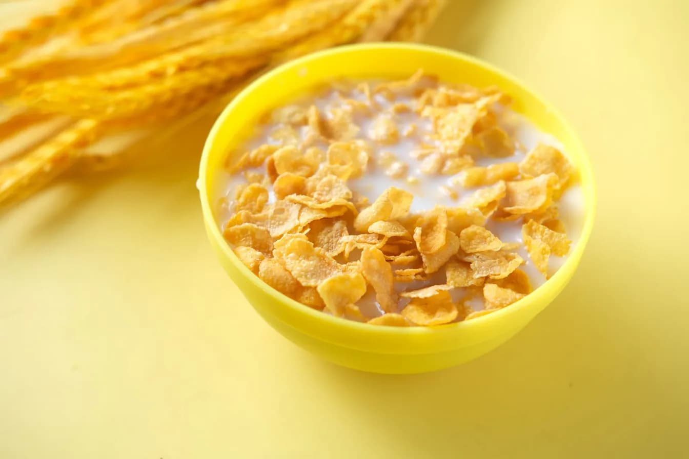Bowl of Cereal