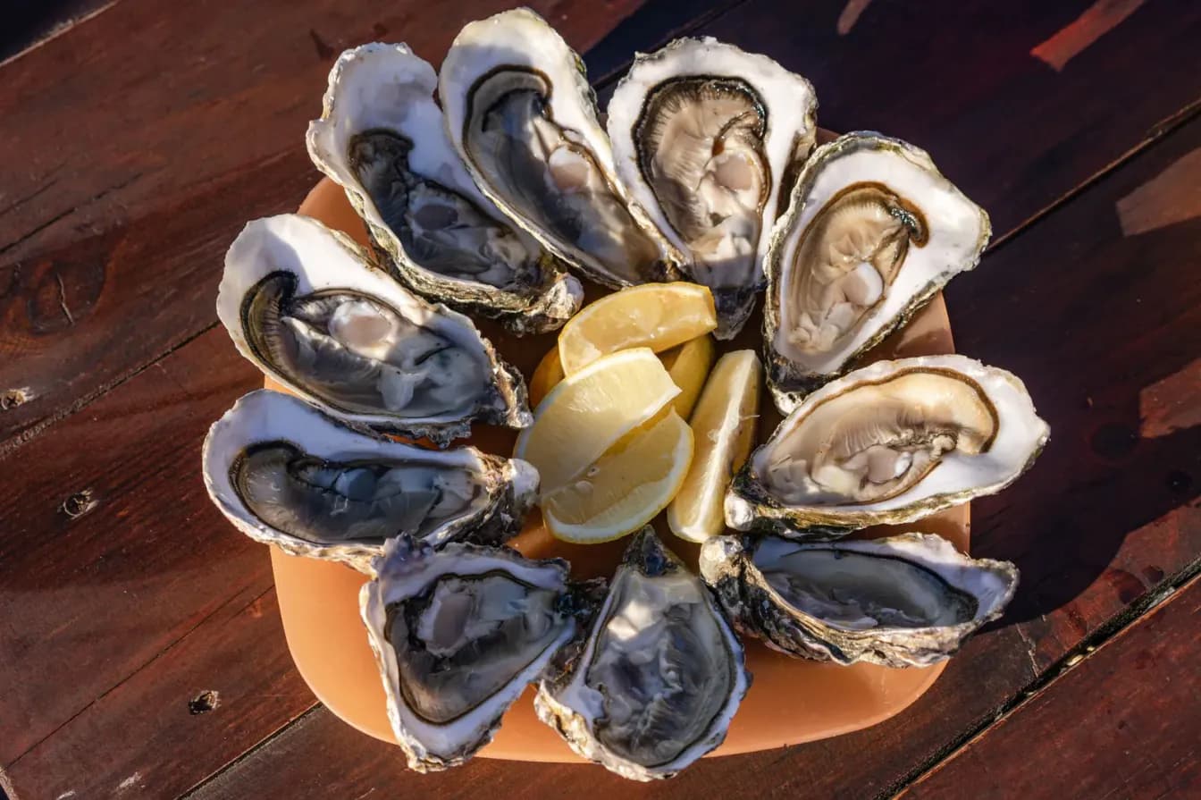 Fried Oysters