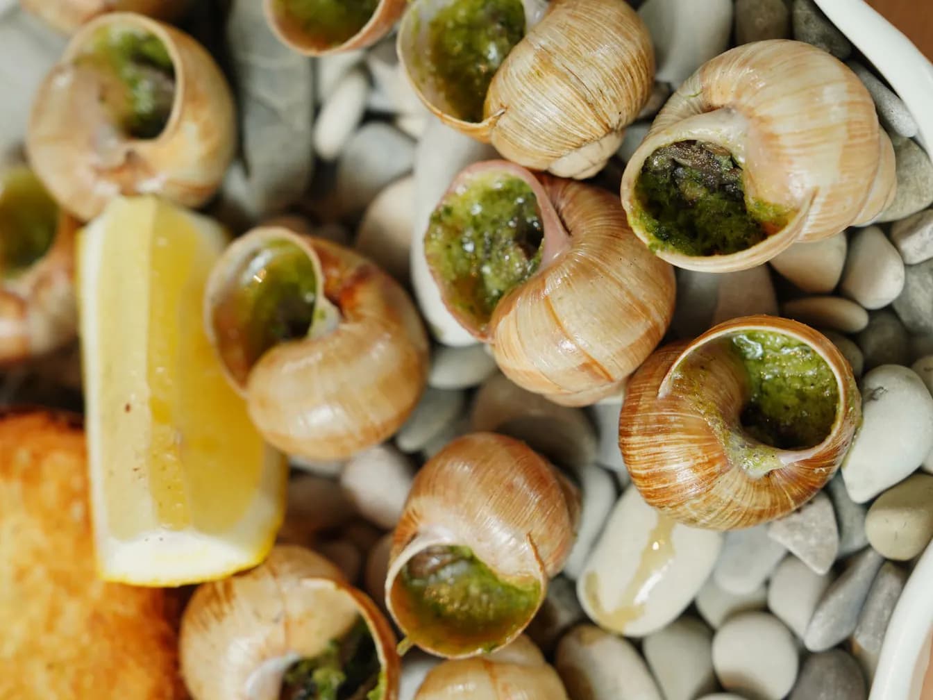 Escargots