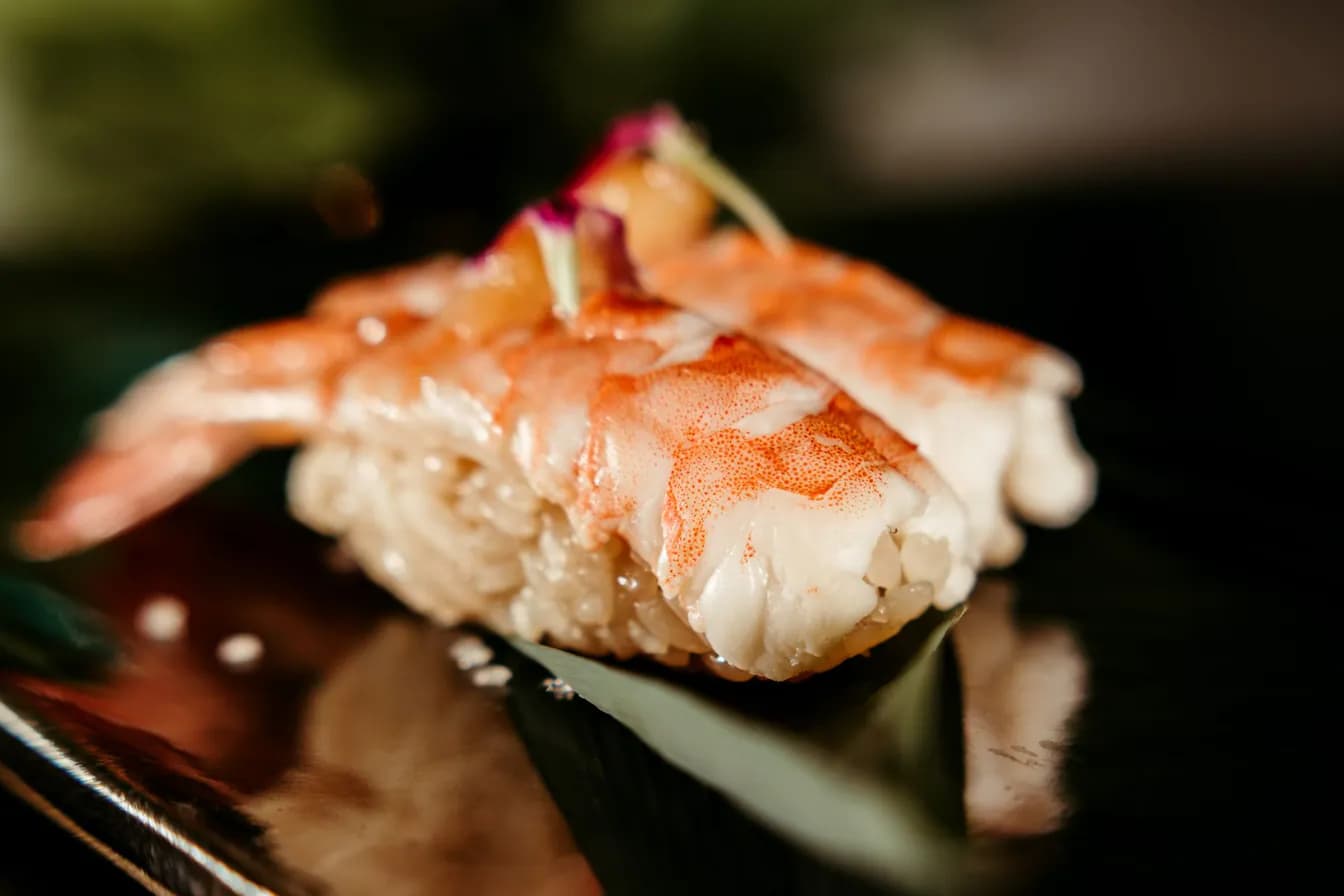 EBI ``SHRIMP``