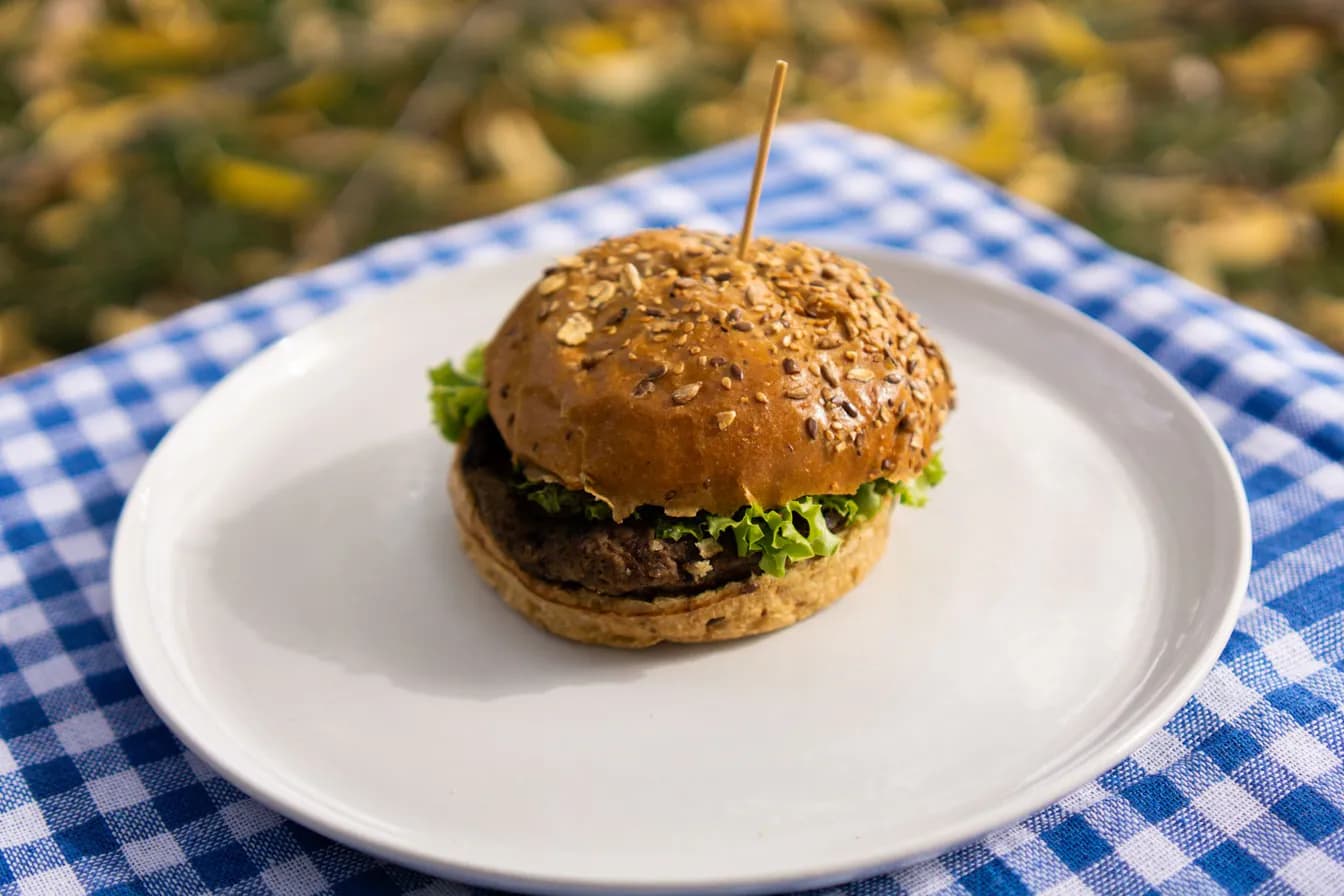 Classic Harissa Hamburger
