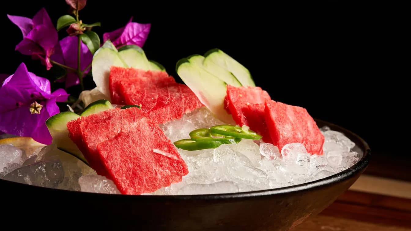 Tuna / Salmon