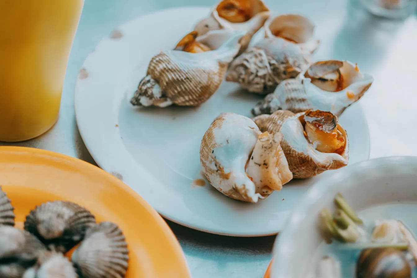 Shellfish