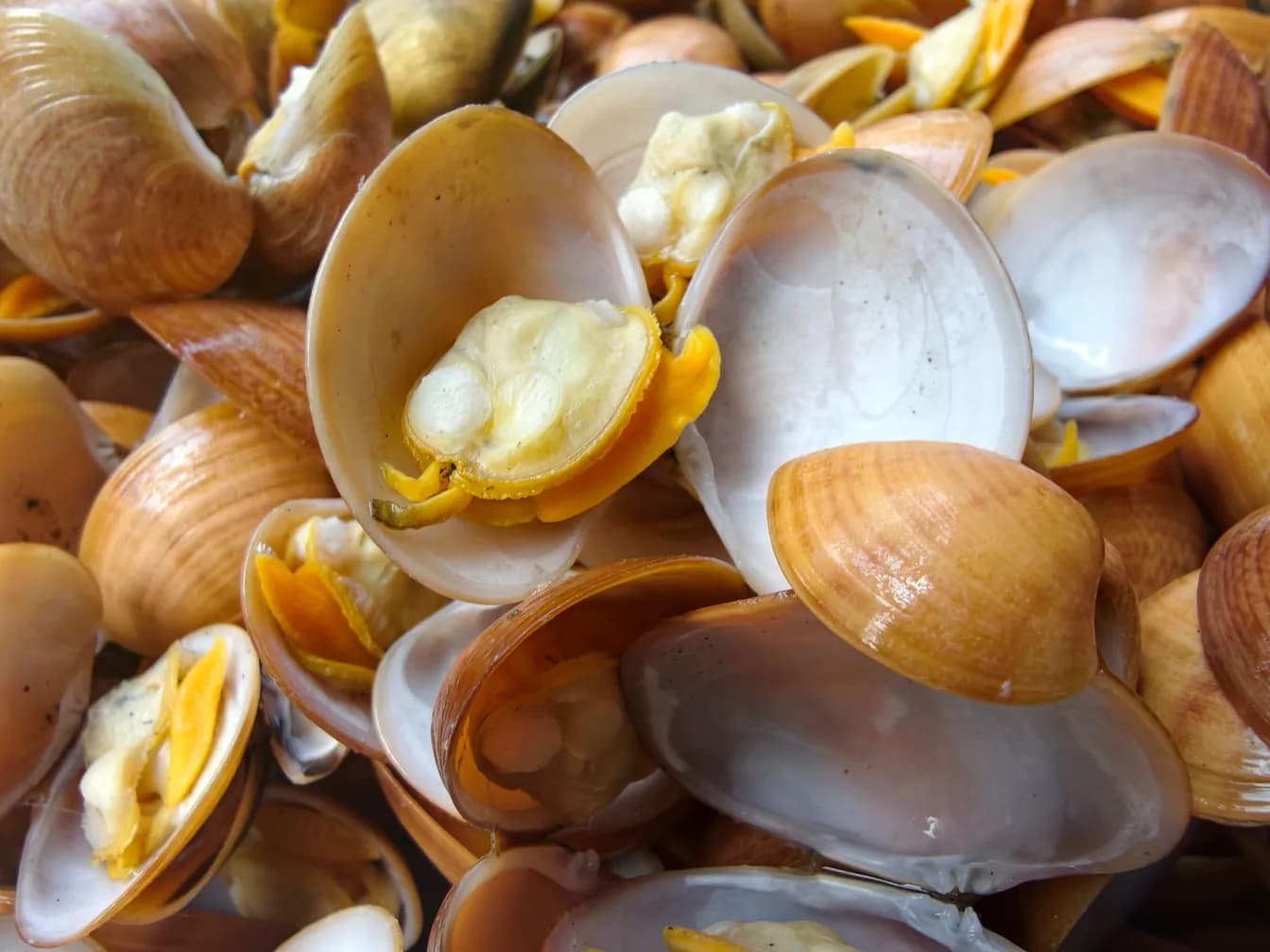 Clams Oreganata