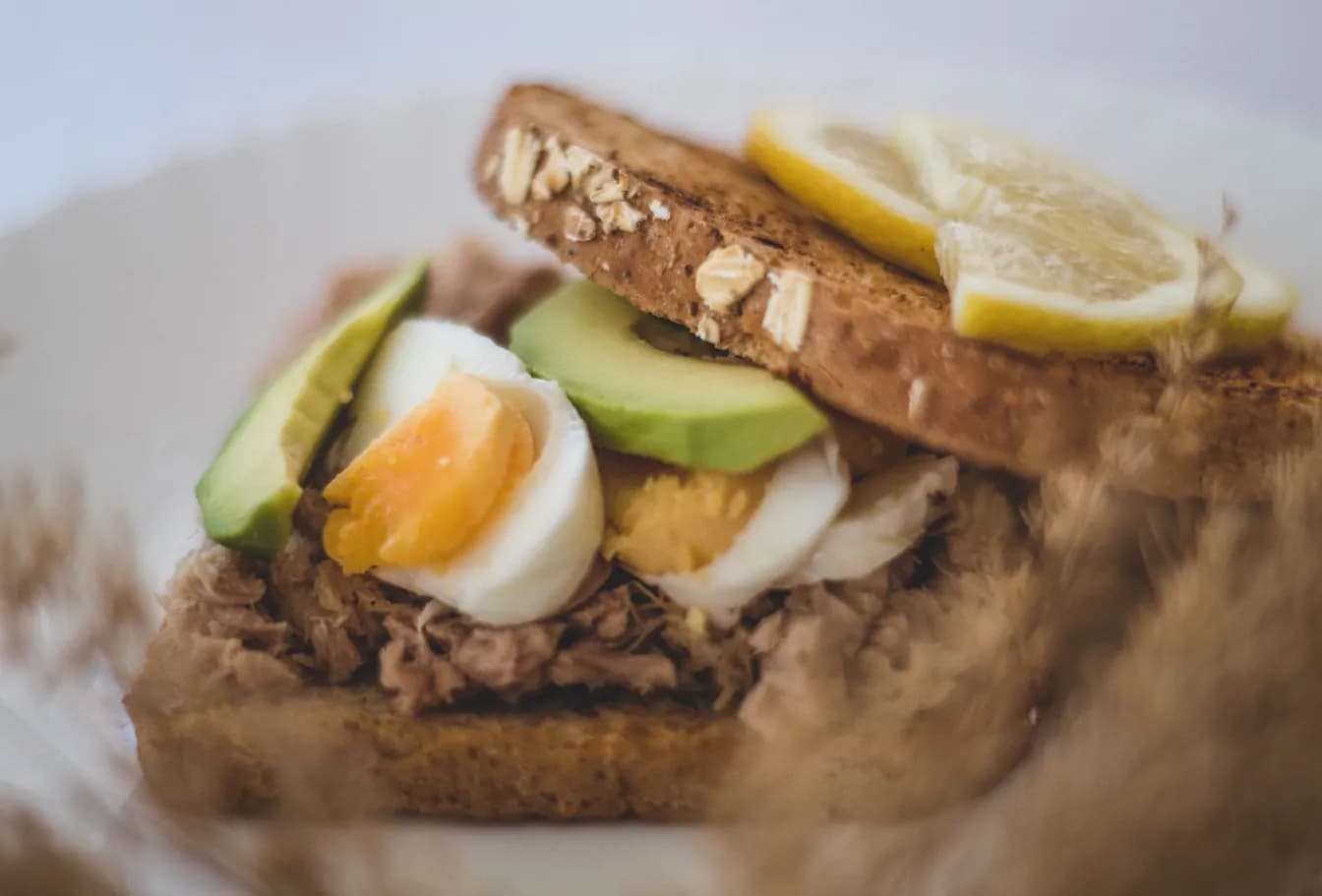 Tuna Melt