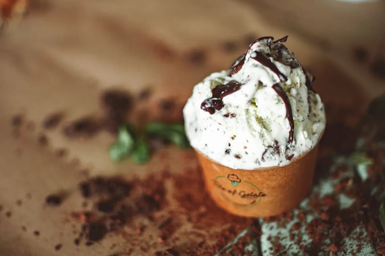 MINT CHIP