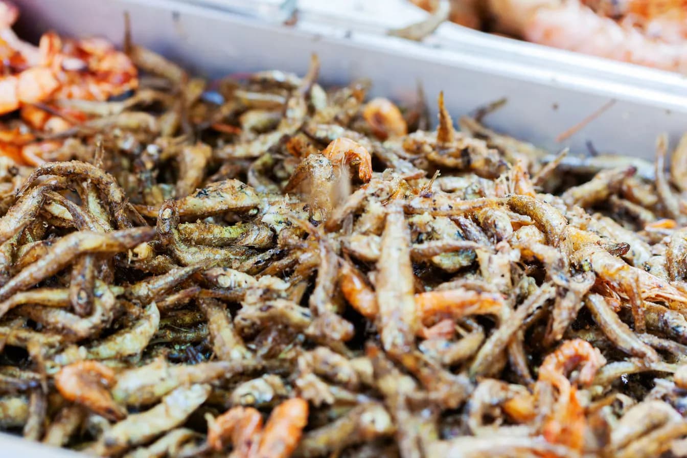 Fried Seafood Medley/Jalea Mixta