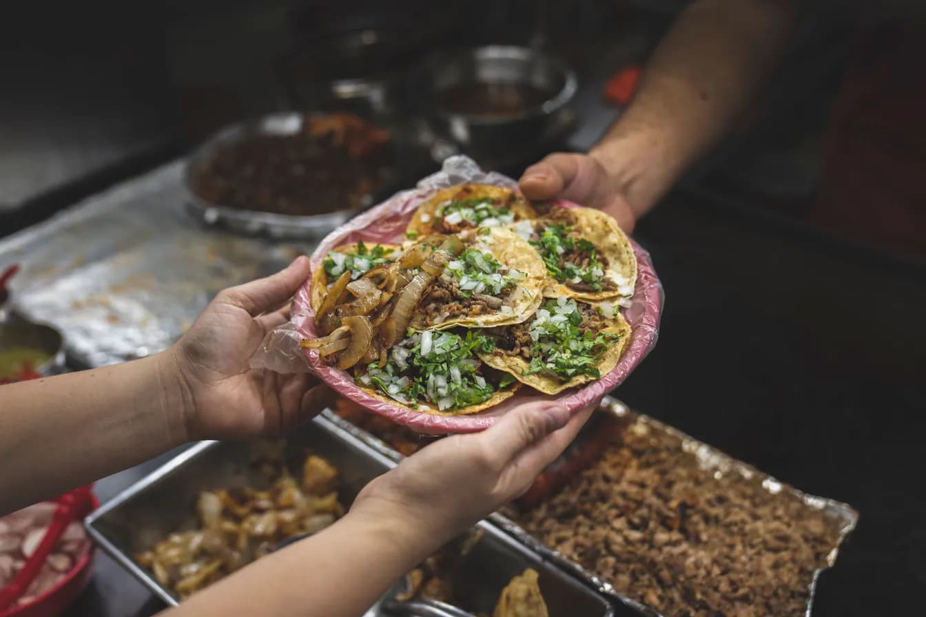 6 birria tacos