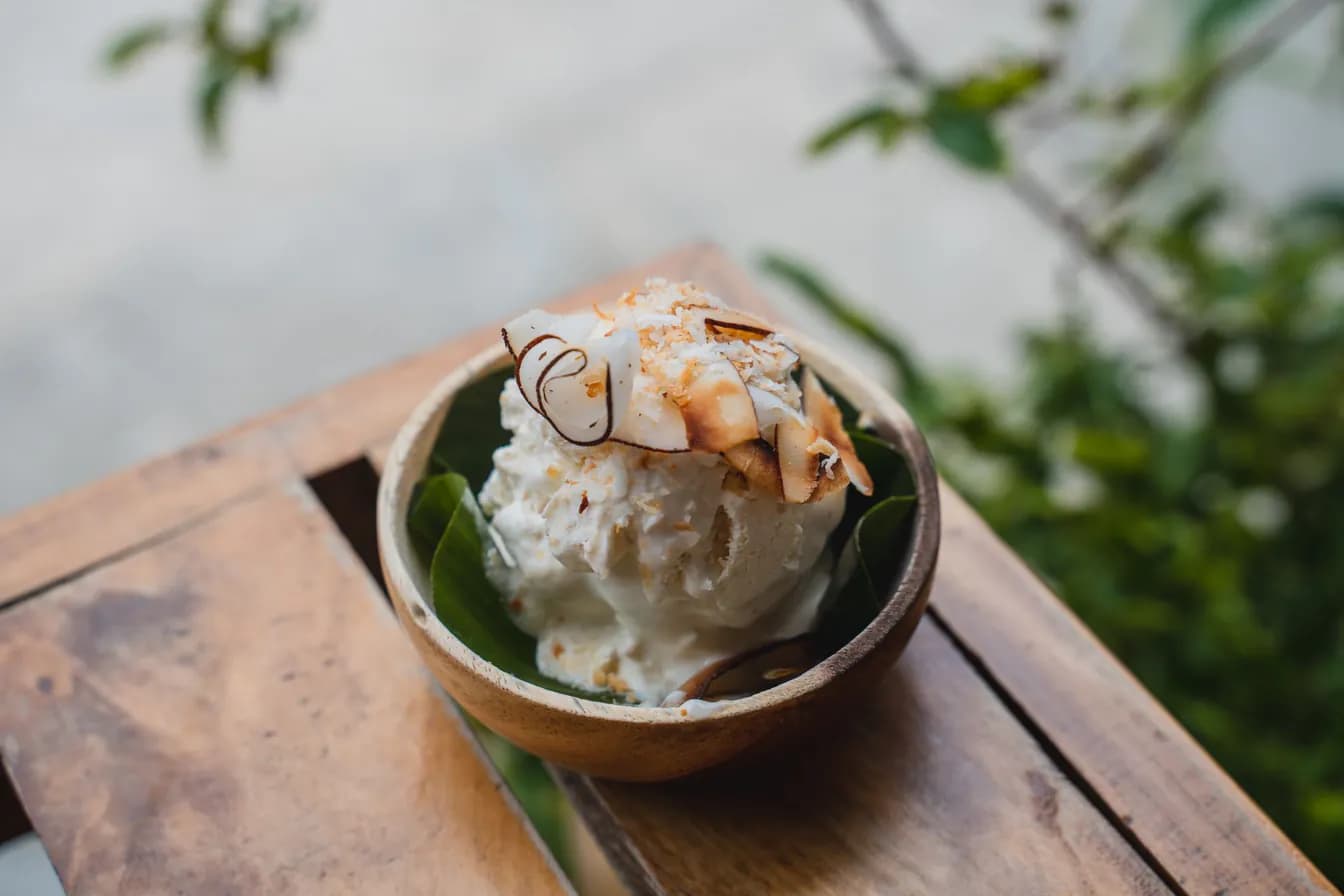 Coconut Ice Cream
