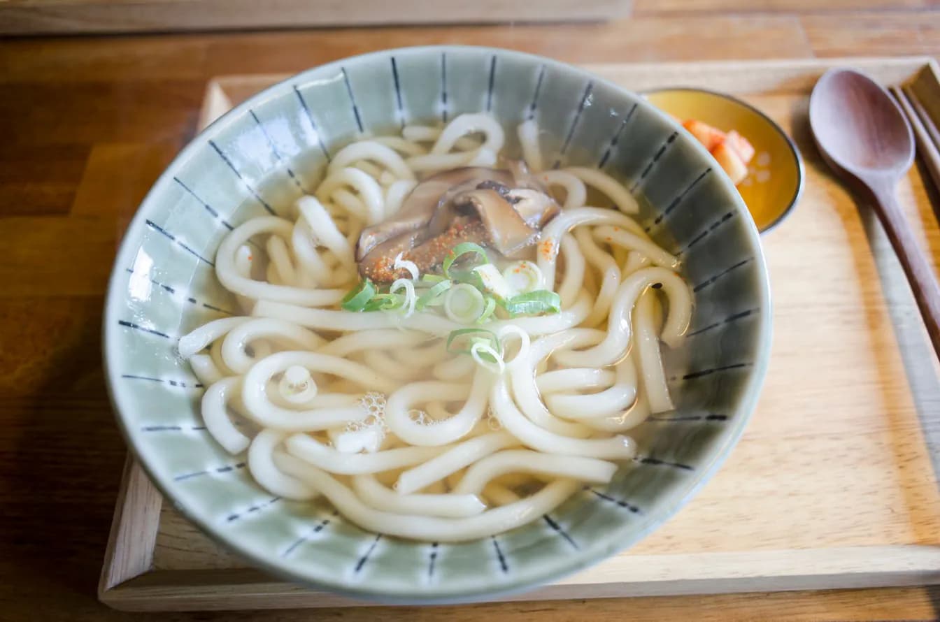 Udon Noodle Soup